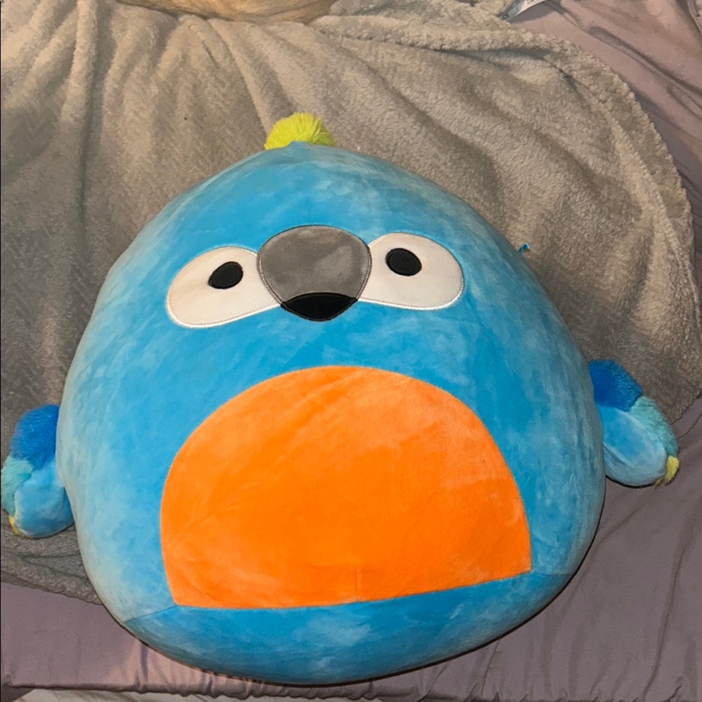 Squishmallows Tenise The Parrot Blue and Orange Stuffed Animal 14” EUC No Tags